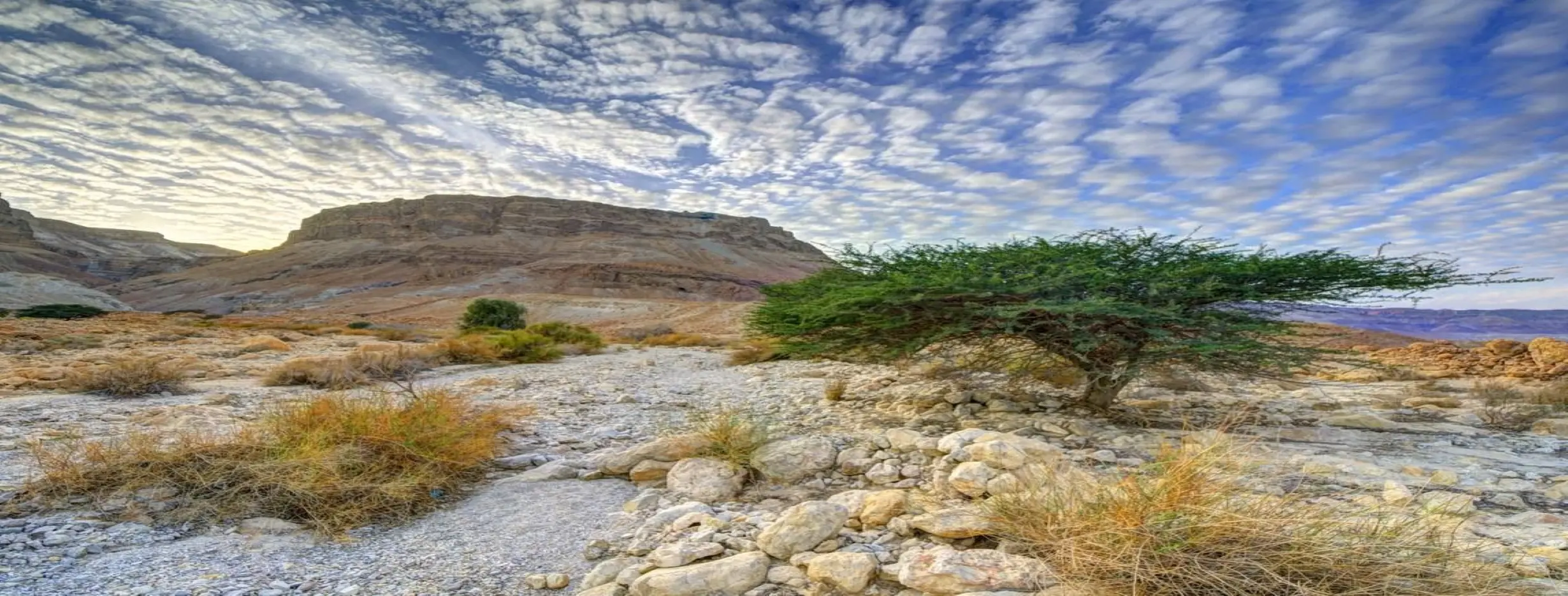 Image for Natural Beauty
